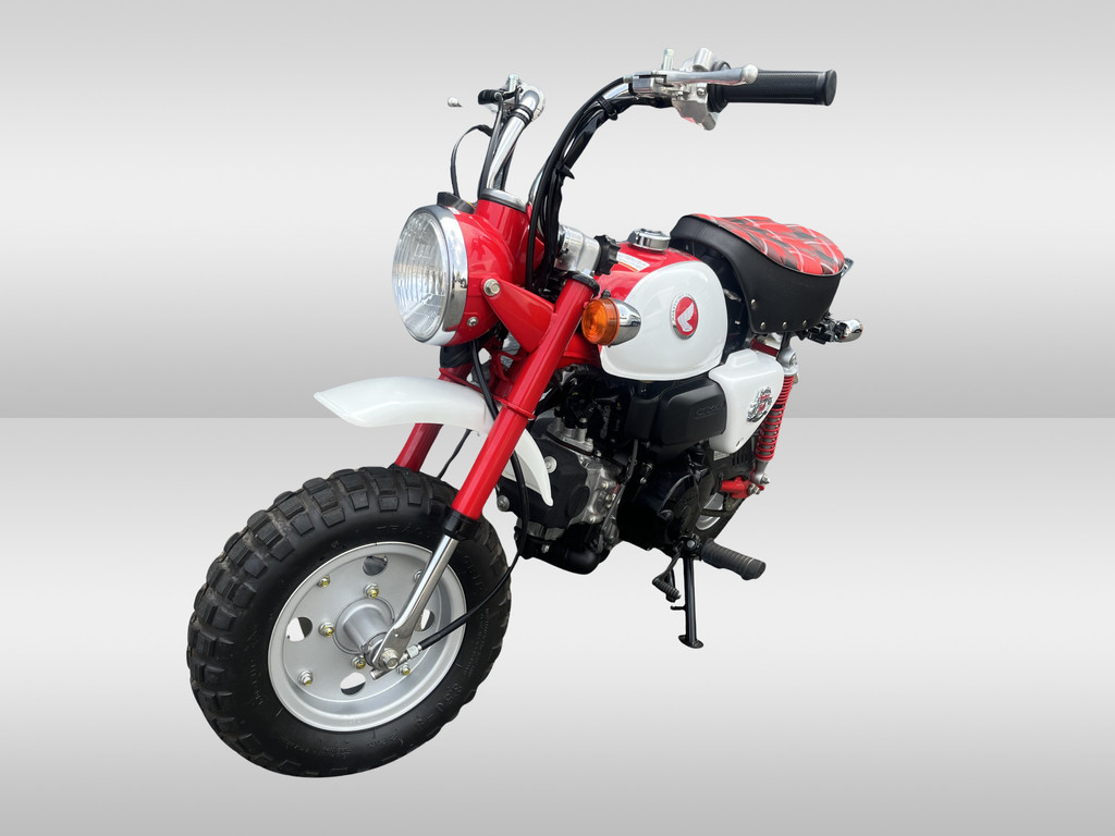53907273